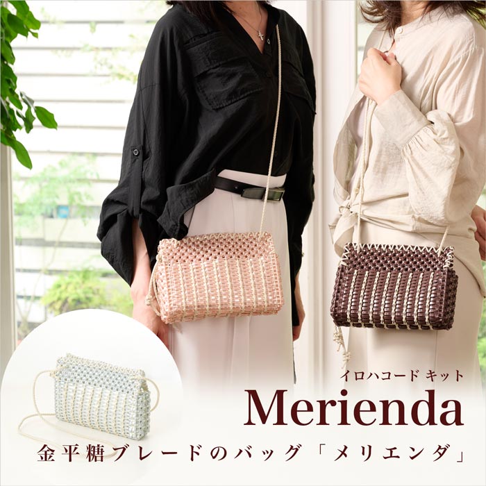 ��ʿ���֥졼�ɤΥХå��֥�ꥨ�����