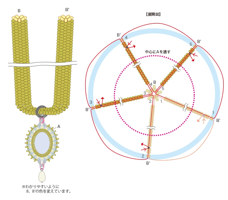 レシピ476：ビーズ刺繍のレーシーペンダント-ブルーレース-