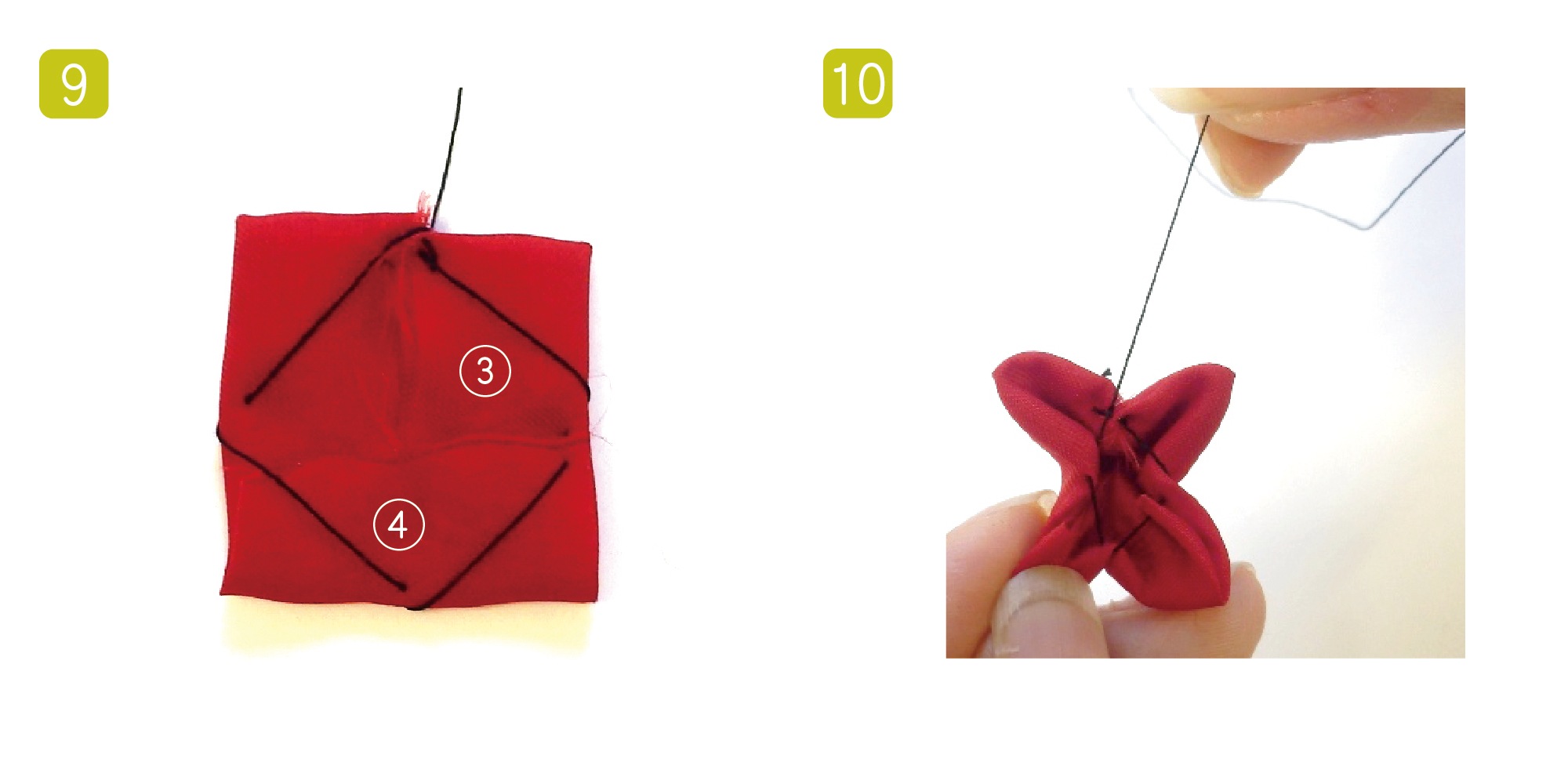 ⑨☆赤い実がなる☆容姿が良くて立派に育った☆南天☆難を転ずる縁起の良い常緑低木☆ img_2eb4638225b46f0deaa65a6a99