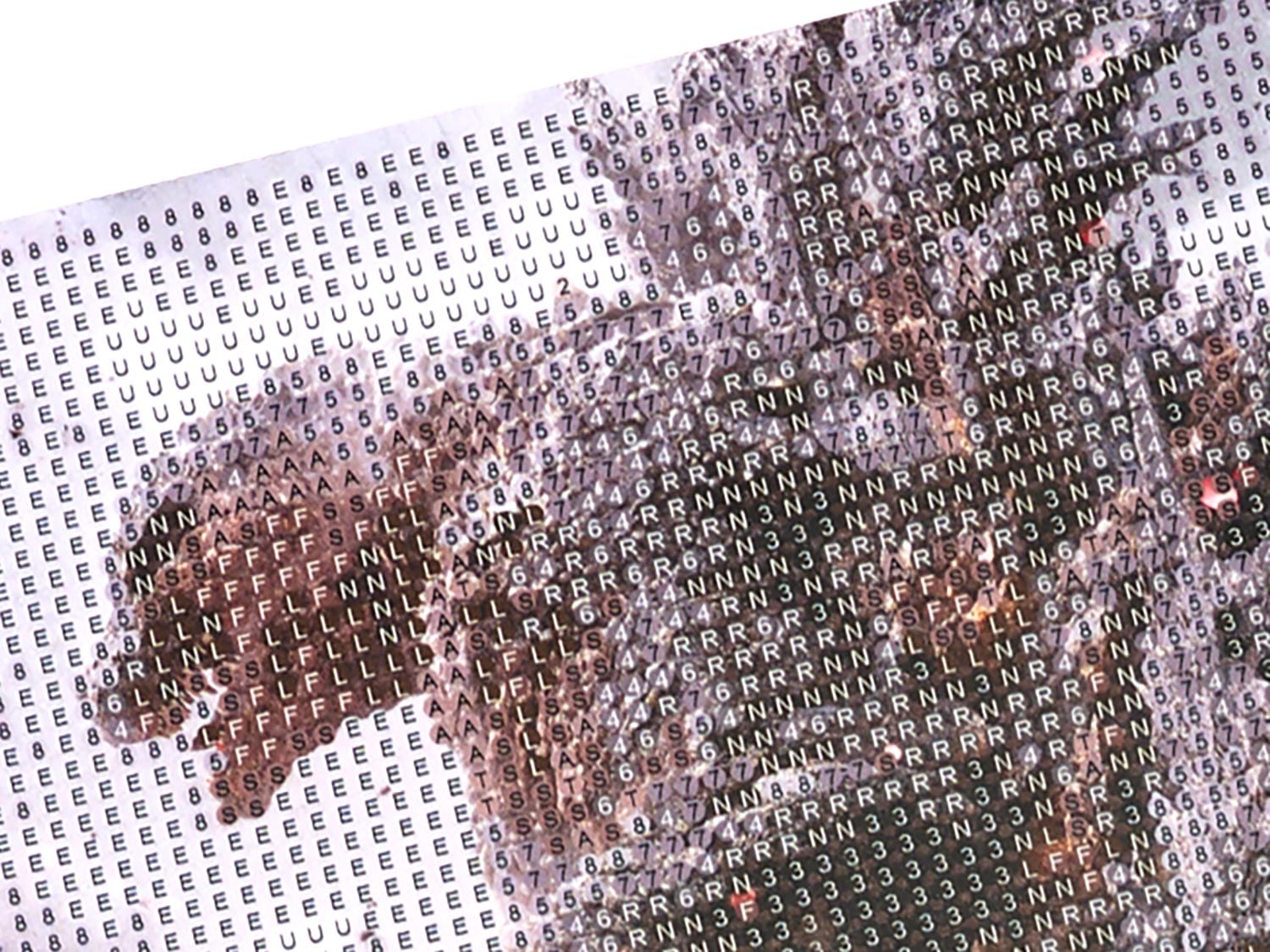 ��������ɥե��å����ˡ֥�������轱