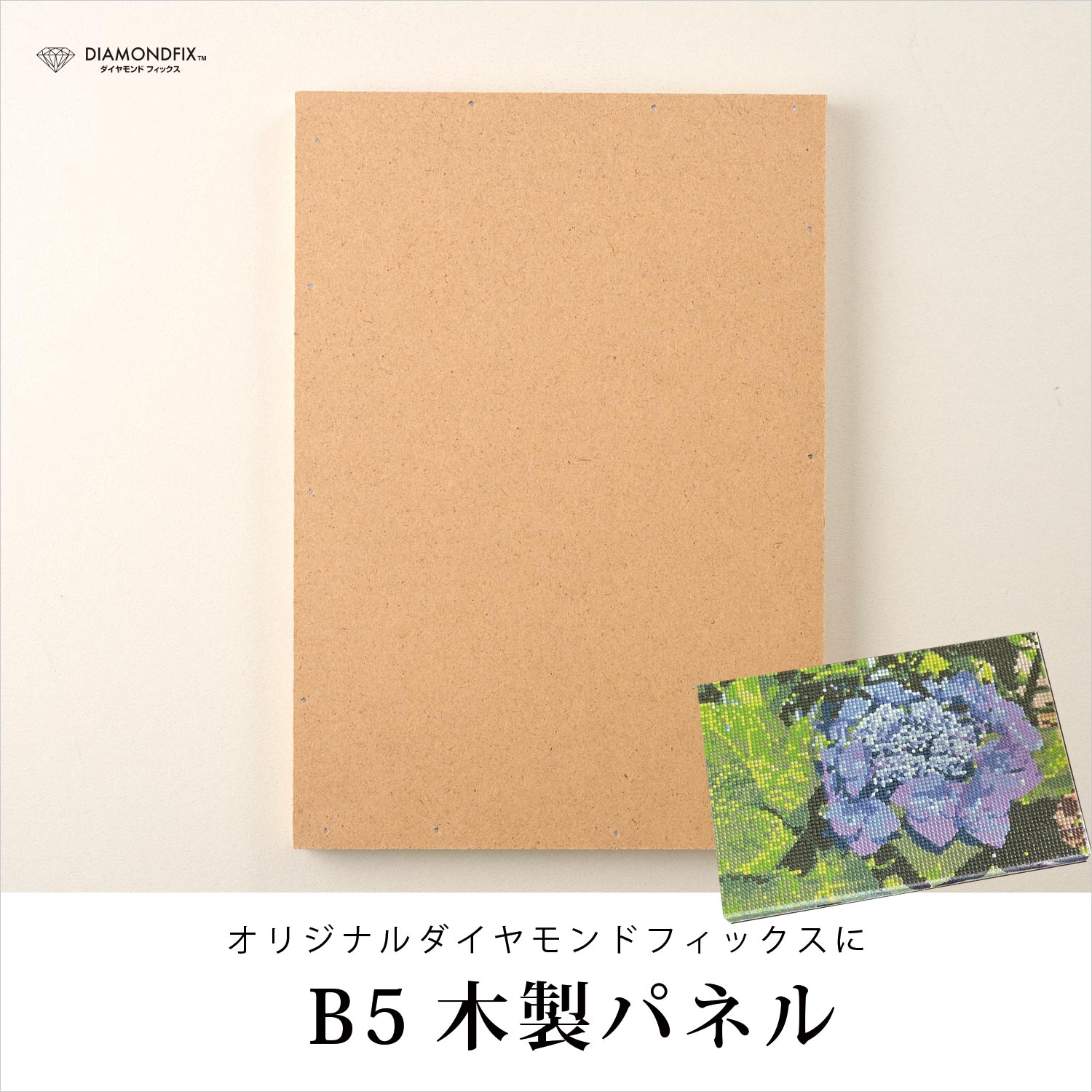 B5�����ѥͥ�