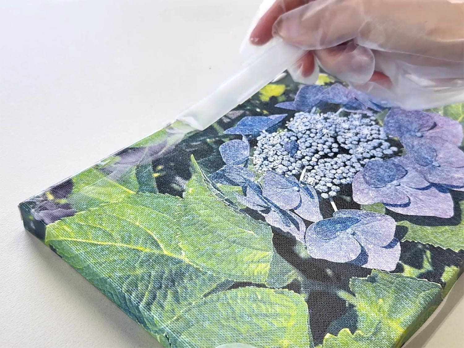 Step 02 ���ѥ��롼���ɤ�