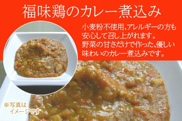 送料無料 どんぐりキッチン食卓定番セット すべての商品 信州長野のおみやげ お土産どんぐり長野