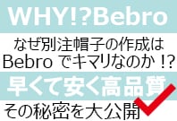 WHY!?Bebro