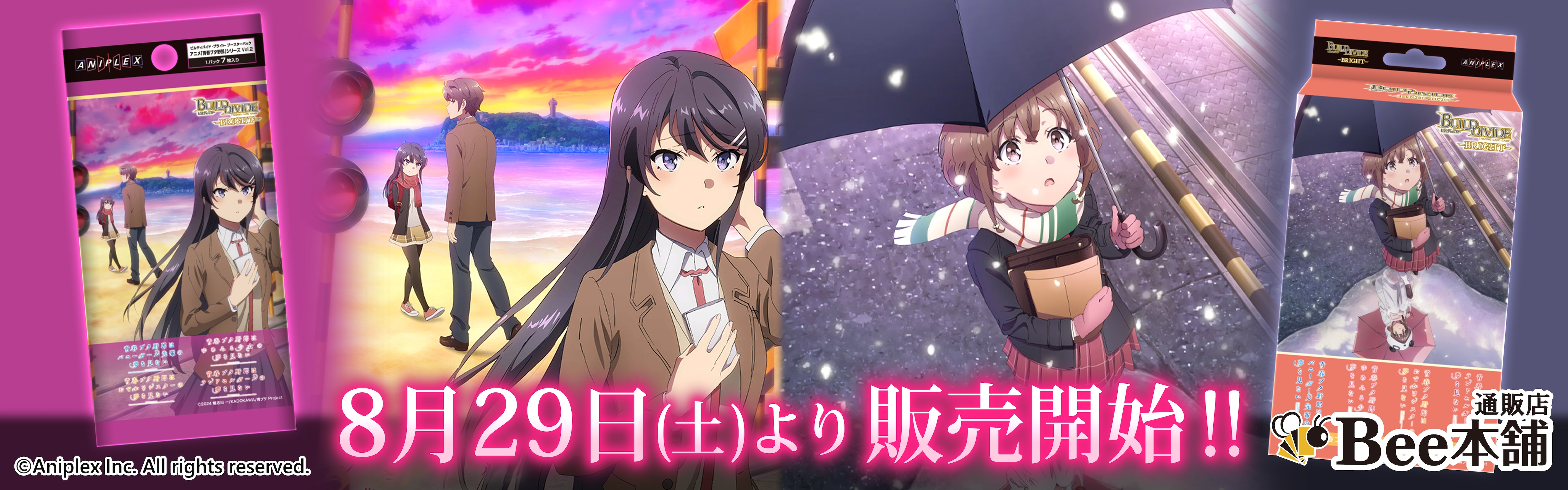 ビルディバイドブライト