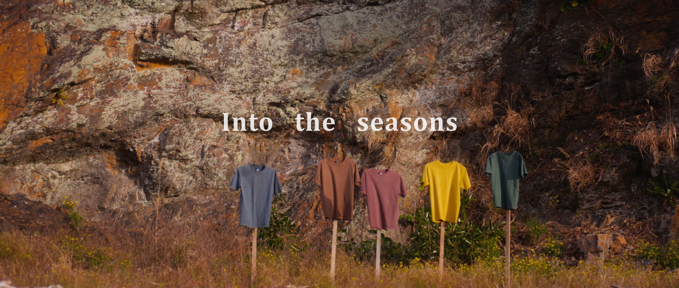 Into-the-seasons