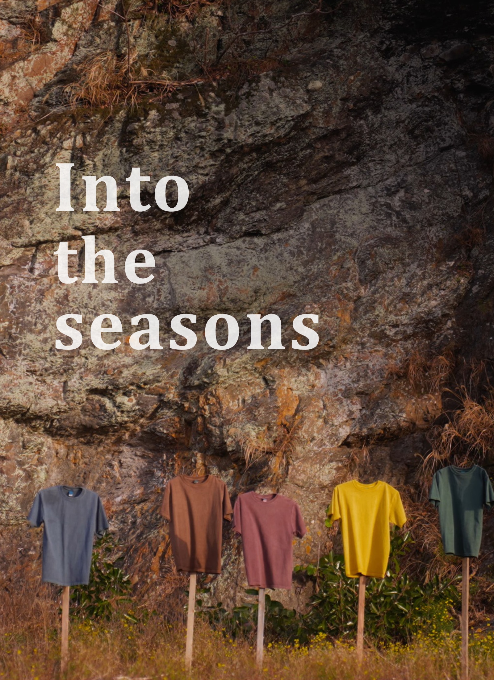 Into-the-seasons