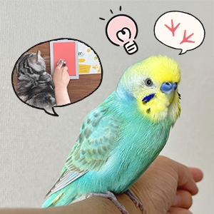 犬猫だけじゃない