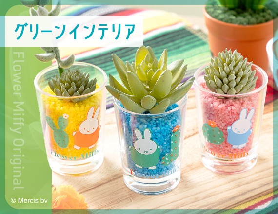 flowermiffy＊さまご予約専用 大分県産 銀寄 生栗 3kg flowermiffy＊さまご予約専用 大分県産 銀寄 生栗 3kg 株式会社