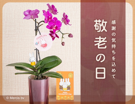 敬老の日