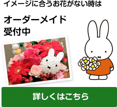 Miffy Bruno コラボアイテム発売開始 お知らせ ミッフィーのお花屋さん Flower Miffy