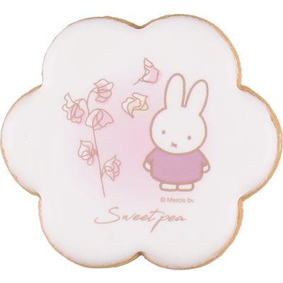 商品画像 アイシングクッキーセット スイートピー