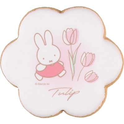 商品画像 アイシングクッキーセット チューリップ