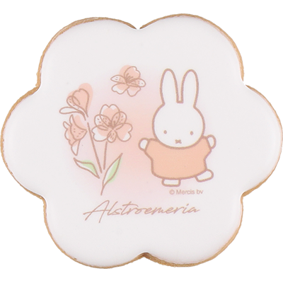 商品画像 アイシングクッキーセット アルストロメリア