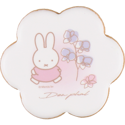 商品画像 アイシングクッキーセット デンファレ