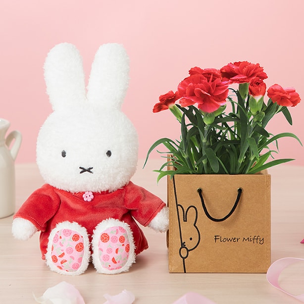 商品画像 着せかえほわほわぬいぐるみ カーネーションセット