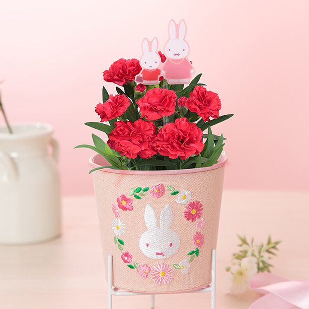 商品画像 刺繡ブリキ缶 ”フラワーリース” カーネーションセット