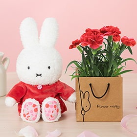 対象商品1 着せかえほわほわぬいぐるみ カーネーションセット・アートフラワーセット