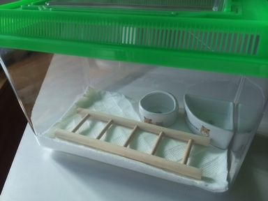 スドー 木製5段ハシゴ