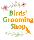Birds Grooming Shop