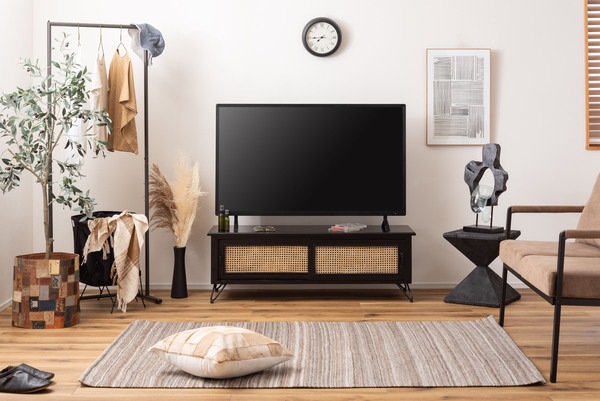 テレビ台のある部屋に設置したスチールハンガーラックのコーディネート例