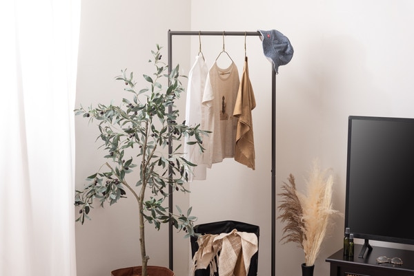 観葉植物のある部屋に設置したスチールハンガーラックのイメージ画像