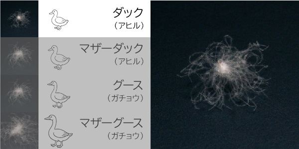 ���å�������