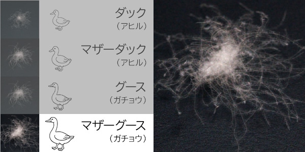 �ޥ���������������