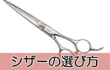 美容師国家試験 対策ガイド｜準備・直前・当日の持ち物までまるごと