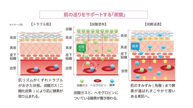 ceruru.bについて