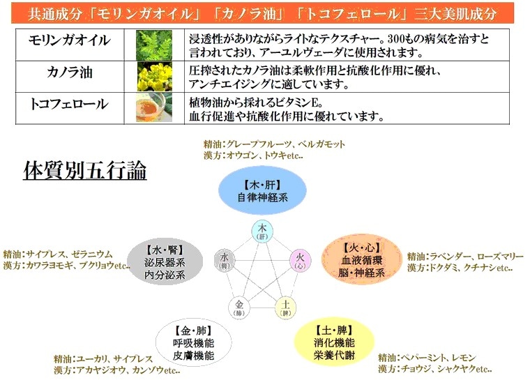 漢方五行理論