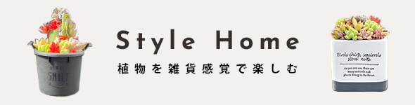 Style Home