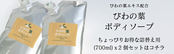 ちょっぴりお得な詰替え2個セットはコチラ
