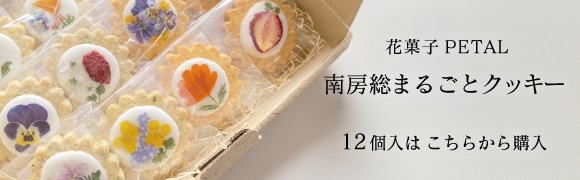 南房総まるごとクッキー12入りはコチラから