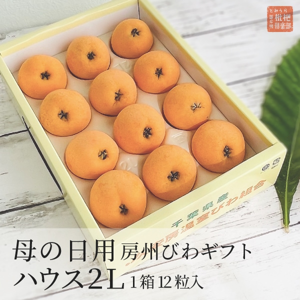 【母の日】 房州ハウスびわ2Lギフト