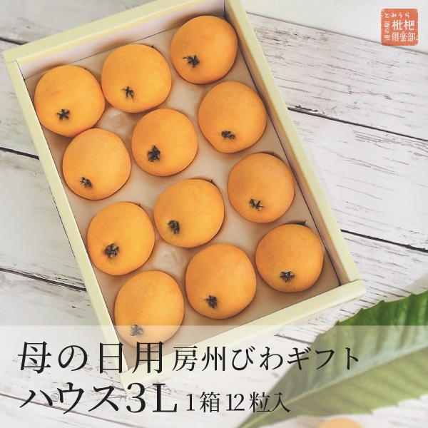 【母の日】 房州ハウスびわ3Lギフト