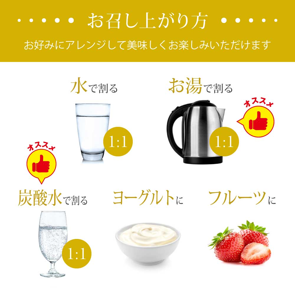SALONwo DELI（サロンヲデリ） 発酵シロップ 500g【感謝祭】 | 美容