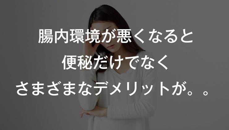 腸内環境が悪くなると便秘だけでなくさまざまなデメリットが。。
