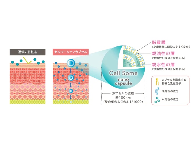 セルソームナノカプセル