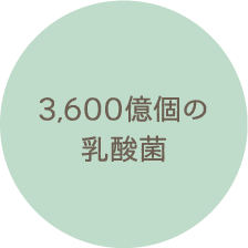 3,600億個の乳酸菌