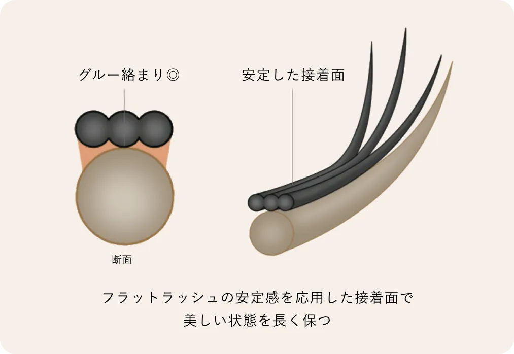 特殊な根元の形で高持続