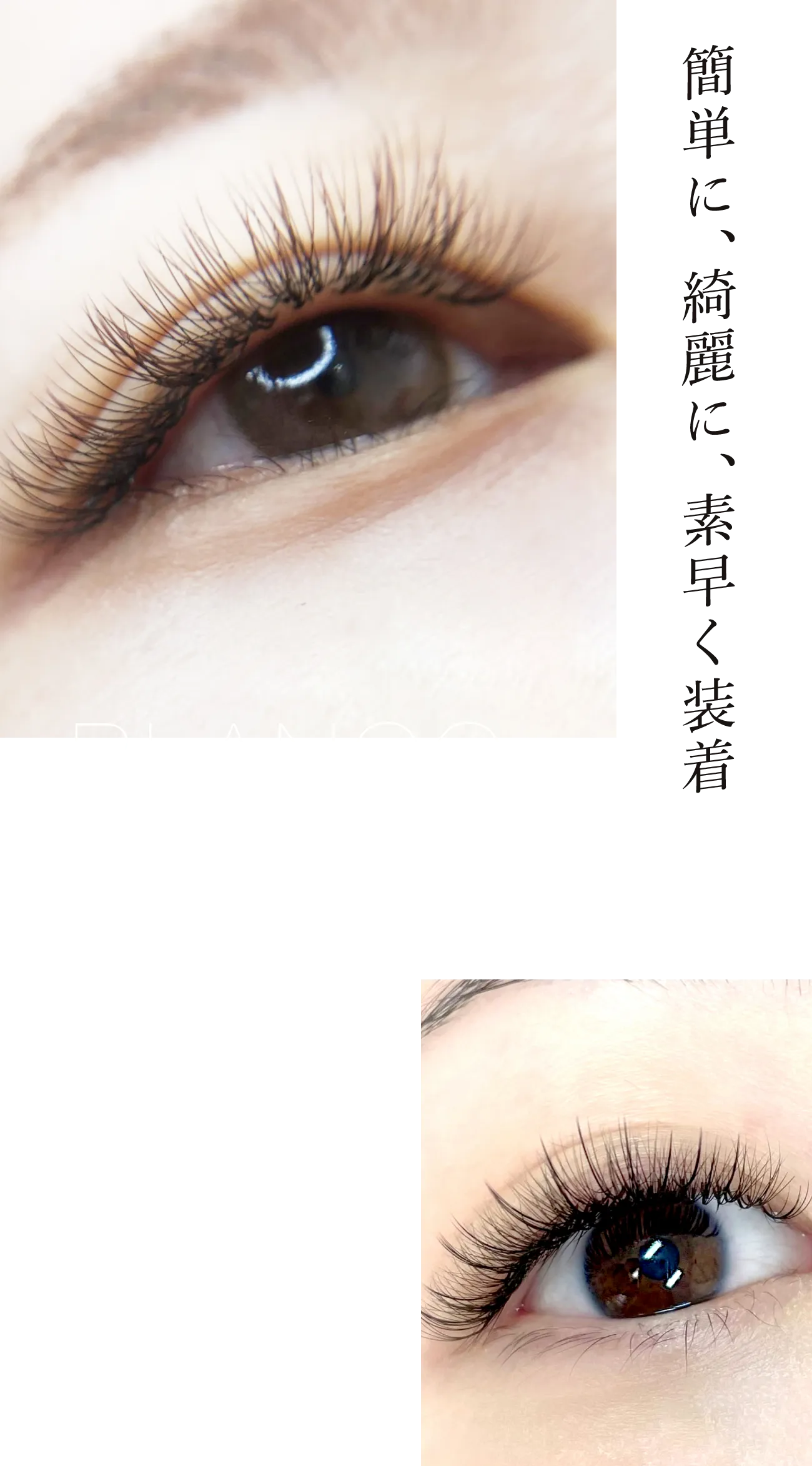 BLANCO PRE-MADE - BLANCO JAPAN