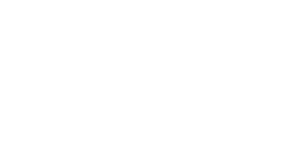 diary collection 
