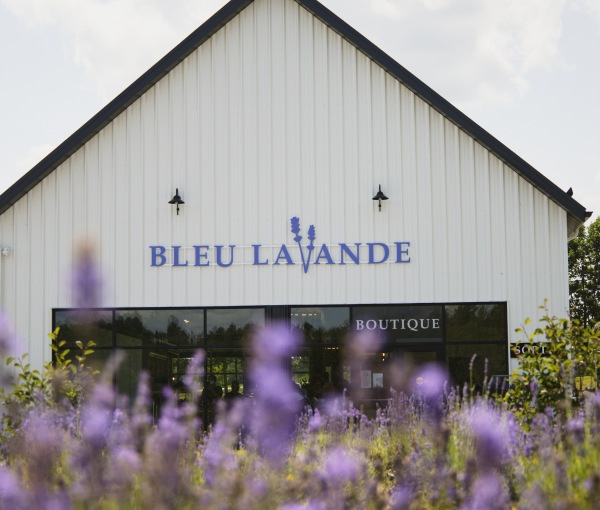 BLEU LAVANDE