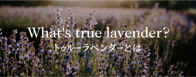 トゥルーラベンダーについて What's true lavender?