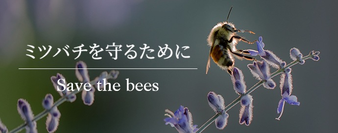 ミツバチを守るために Save the bees