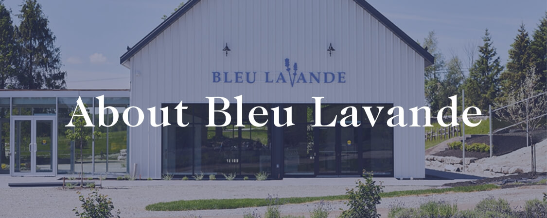 About Bleu Lavande