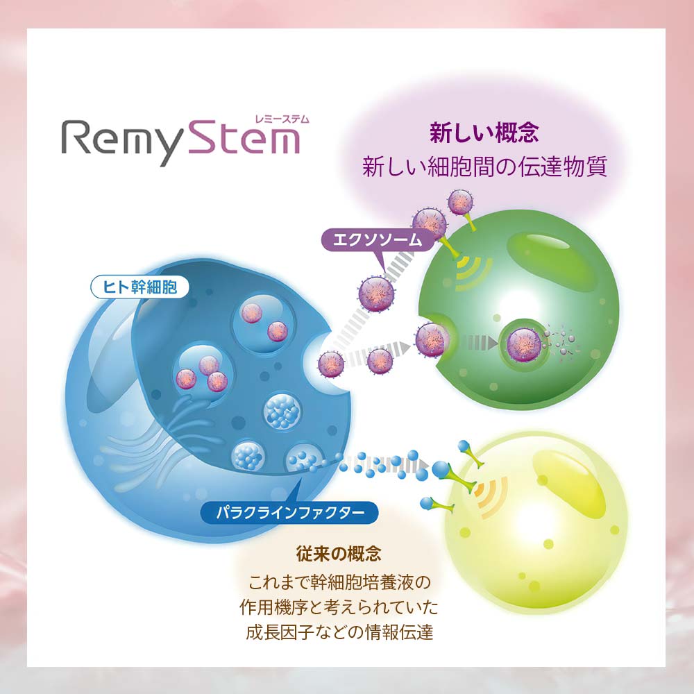 RemyStem