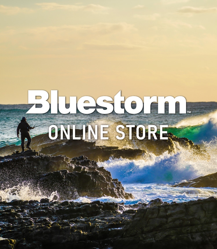 BLUESTORM ONLINE STORE