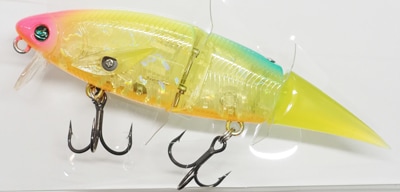 アキ　5点　マドタチ　ハニタスlr リアルトノサマガエル アキ 5点 マドタチ ハニタスlr リアルトノサマガエル